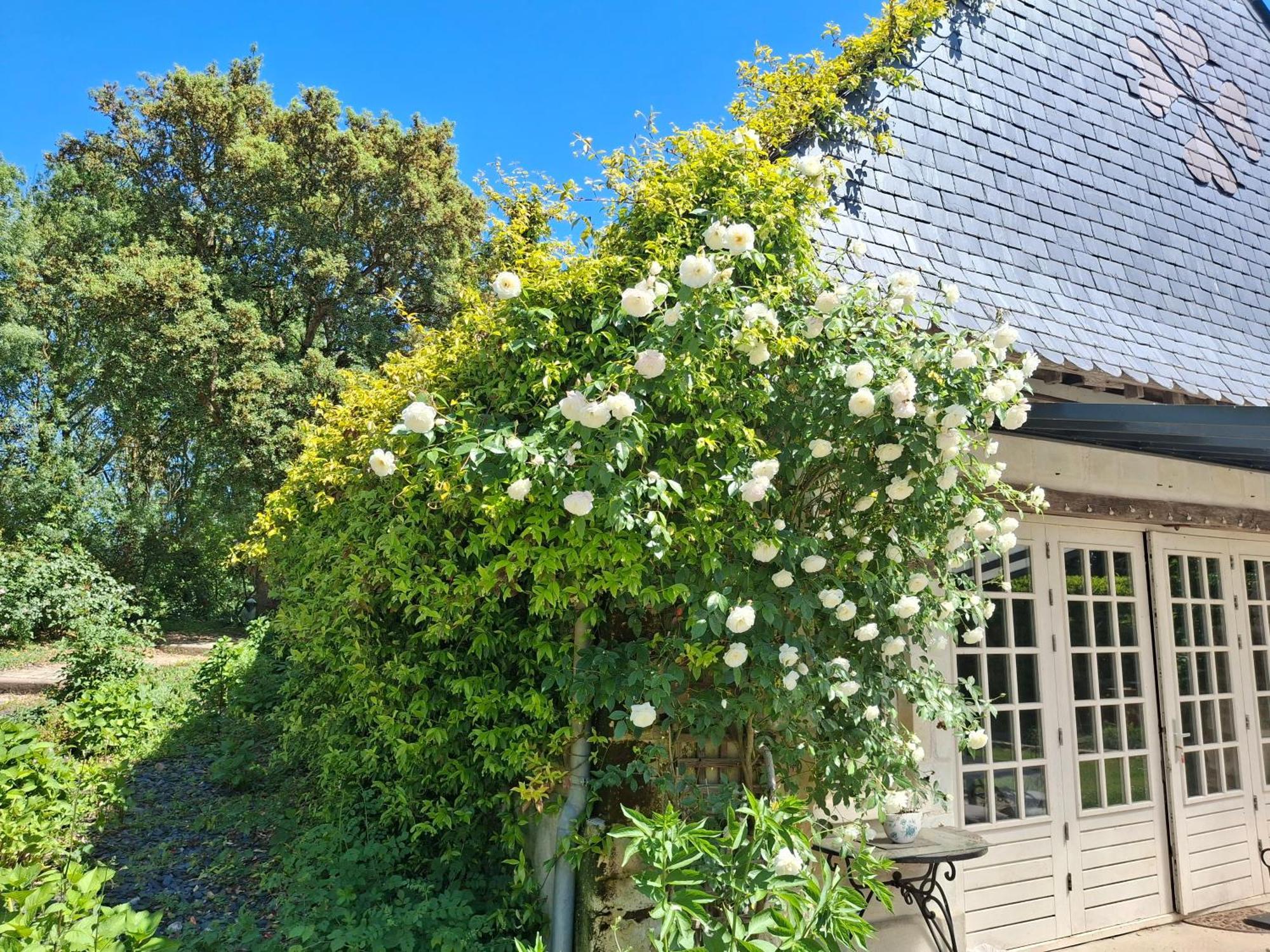 Bed and Breakfast Le Mouton Blaison Exteriér fotografie